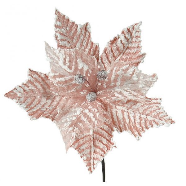 Χριστουγεννιάτικο Λουλούδι Ροζ, Χιονισμένο (25cm)